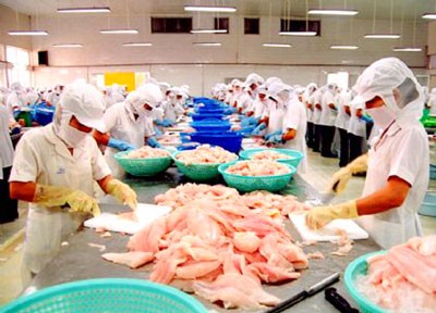 Processing tra fish for exports in the Mekong Delta (Photo: SGGP)
